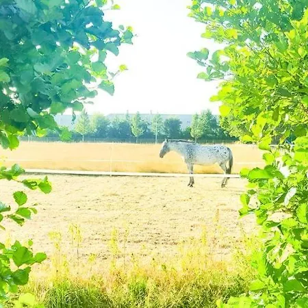 Apartament Lovely House Till 6 P. Near Amsterdam, Sea Opmeer