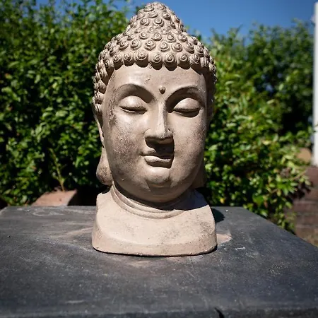 Lovely House Till 6 P. Near Amsterdam, Sea Opmeer