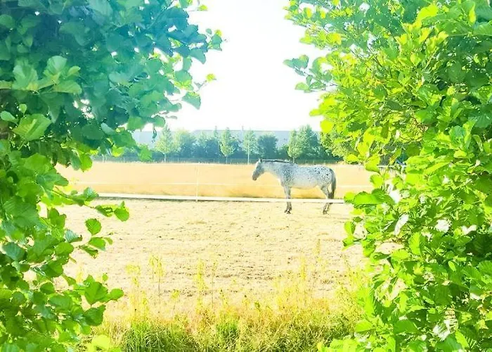 아파트 Lovely House Till 6 P. Near Amsterdam, Sea Opmeer