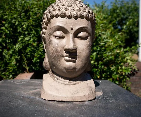 Lovely House Till 6 P. Near Amsterdam, Sea Opmeer